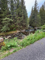 stažený soubor (41)